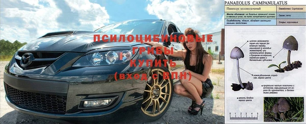 крисы Абинск