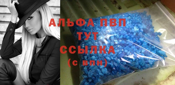 эйфоретик Осташков