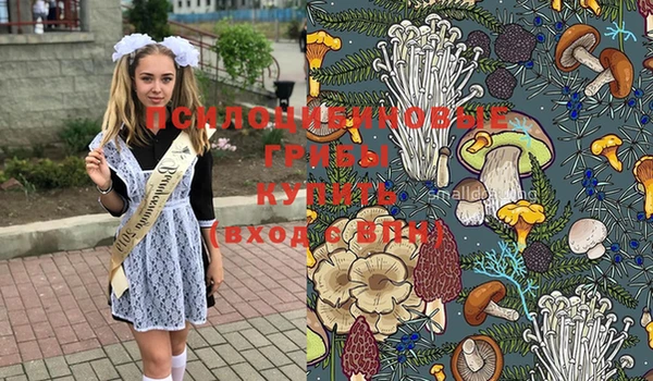 крисы Абинск