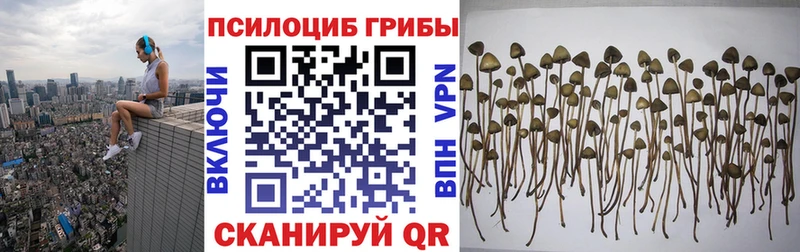 omg ONION  наркотики  Дивногорск  Псилоцибиновые грибы мицелий 
